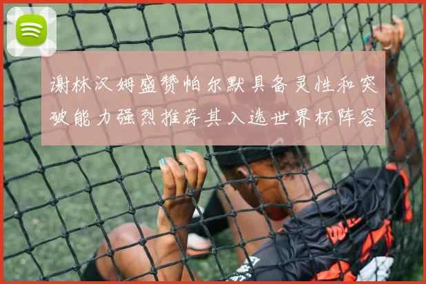 谢林汉姆盛赞帕尔默具备灵性和突破能力强烈推荐其入选世界杯阵容